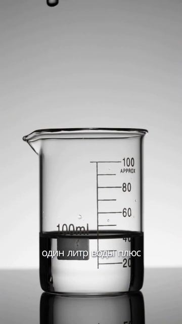 Помидоры в стрессе🍅 #дача #рассада #сад #огород #garden #л? смотреть онлайн