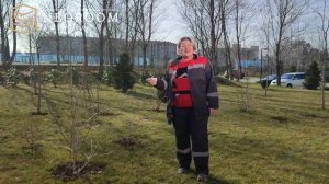 Серия роликов о посадке растений в ЖК "Фрукты"
1 серия: "Цветущий сад"