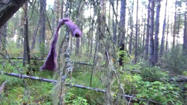 Велопутешествие пьяного пенсионера Нижний Тагил - гор смотреть онлайн