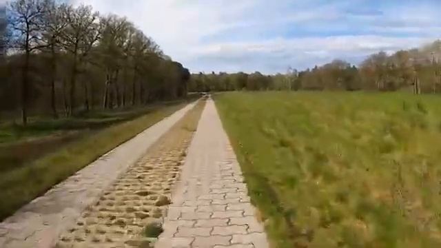 Дорогой применяться постоянный бабочка металл ленинг смотреть онлайн