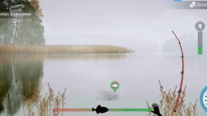 My Fishing World Фарм на трофейных угрях.