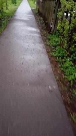 Романтическая прогулка под теплым дождем-Cleaning shadow on street