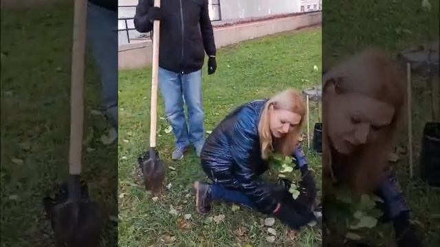 🔥 Белые розы в память о ЛЕГЕНДЕ🔥 Санкт-Петербург, БК? смотреть онлайн