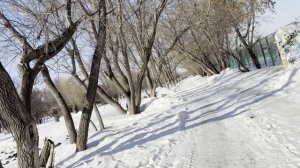 Я вам не прислуга – Алина бросила поднос с чаем на ков?