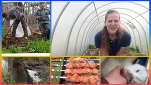 Весна в парнике и в душе. Что уже выросло в парнике к середине мая. 👍👍👍