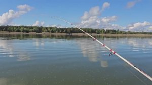 В лесу разводим птицу. На хуторе поработали и на рыбалке лодочный сезон неудачно, но открыли.