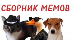 Сборник мемов 2025!