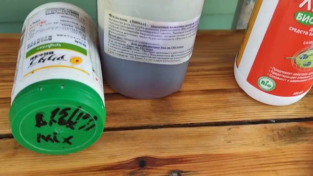 РОЗЫ.ЧЕРНАЯ ПЯТНИСТОСТЬ.КАК И ЧЕМ ЛЕЧИТЬ. смотреть онлайн