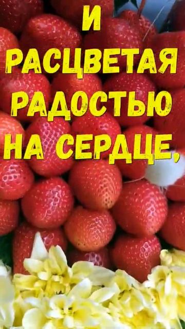 Доброе утро! Хорошего дня! Музыкальная открытка #shorts