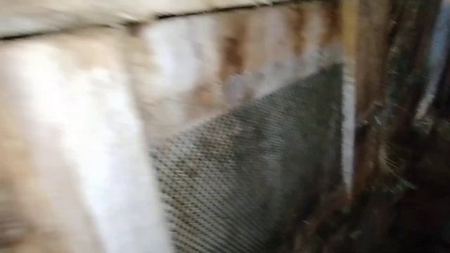 ВЫПАЛ НЕБОЛЬШОЙ СНЕГ! ХОЛОДНЕЕ ЧЕМ ВЧЕРА! НА ДАЧЕ! 13.12.24 смотреть онлайн