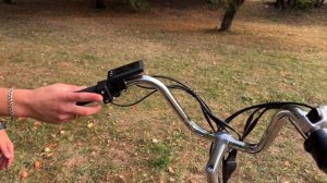 Трехколесный электровелосипед Smart Balance FERMER (колхозник