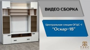 ТЭКС
Видео сборка. Гостиная Оскар-18. Центральная секция ОГЦС-1.