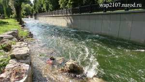 Крым. Симферополь. 17 июля 2022 г.