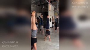 Это попало на камеру! Самые Смешные и Нелепые видео: Не