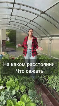 На каком расстоянии,  что высаживаем.