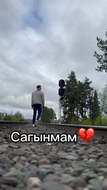 Мин сагынмам сине... #РадикШарафиев