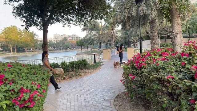 Закупка ПРОДУКТОВ по АКЦИИ! Аж Тапки Порвали.По Дороге смотреть онлайн