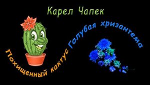 Карел Чапек  "Похищенный кактус", "Голубая хризантема",