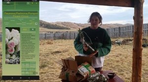 Питомник Роз Аккиевых. Обзор небольшого осеннего зака