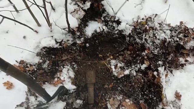 Коп 2025 .Находки в зимнем лесу .Поиск в Харьковской обл ? смотреть онлайн