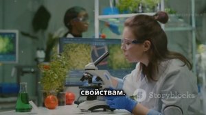 Хвощ полевой. Целебный отвар и настой из хвоща полевог