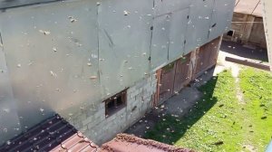 VID_20250517_103346.mp4