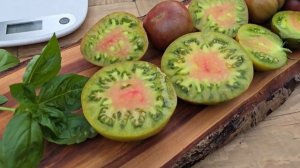 Сорт томата "Дикий Тимян" (Wild Thyme) 🍅 Уже не первый год в?