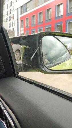 Вид из окна БМВ