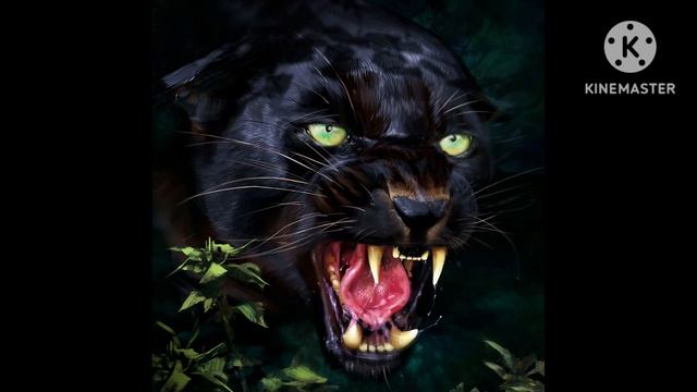 👍ТОП-2 ПЕСНИ В ХОРОШЕМ КАЧЕСТВЕ В МАШИНУ! ПЕСНИ В МАШИ? смотреть онлайн