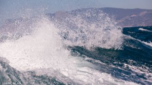 Домна поход в Утриш