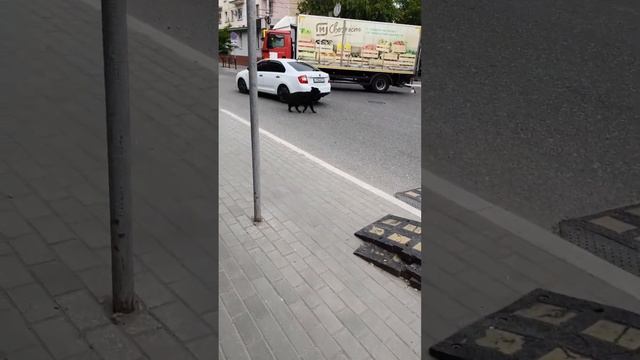 Прямая трансляция fishing и мы !