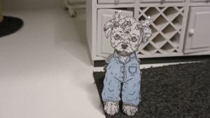 . 24 часа на лестнице, бумажные собаки .🐶🩶