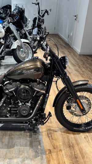 2020 HD Street Bob 19K