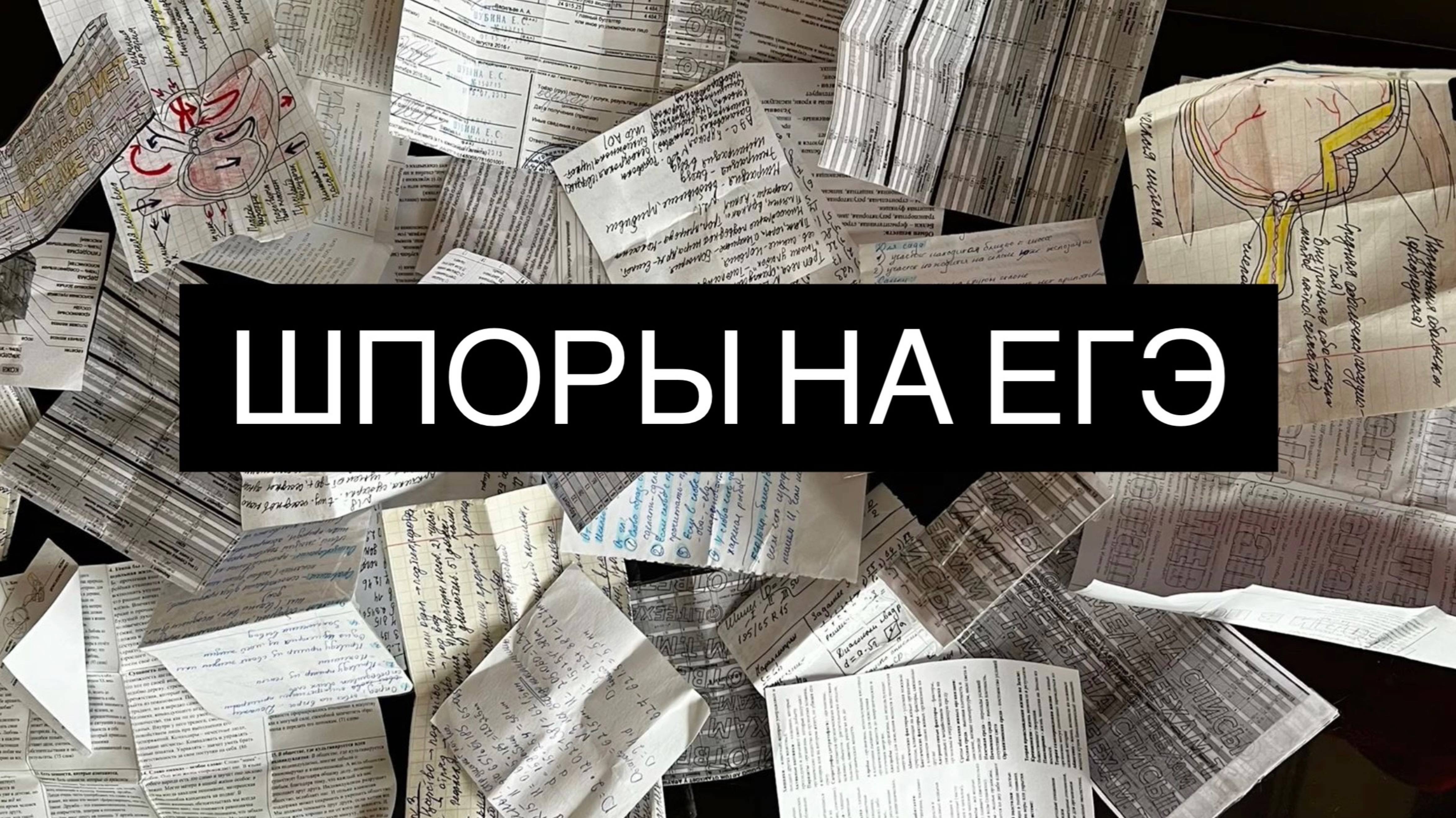 ШПОРЫ НА ЕГЭ