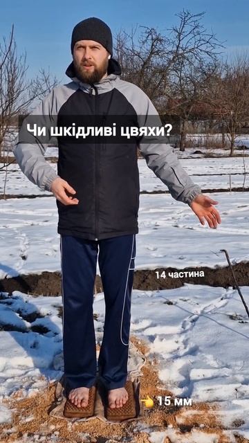Дошка Садху: шкода чи користь? Розвінчуємо міфи про цв? смотреть онлайн