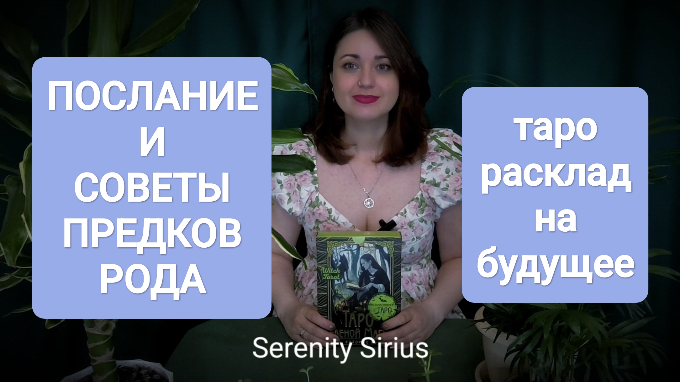 ПОСЛАНИЕ И СОВЕТЫ ПРЕДКОВ РОДА🌈таро расклад на будущее