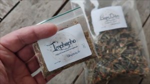 САГАН ДАЙЛЯ / Как выглядит Напиток Молодости