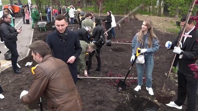 Яблоневая аллея на Лазутинке