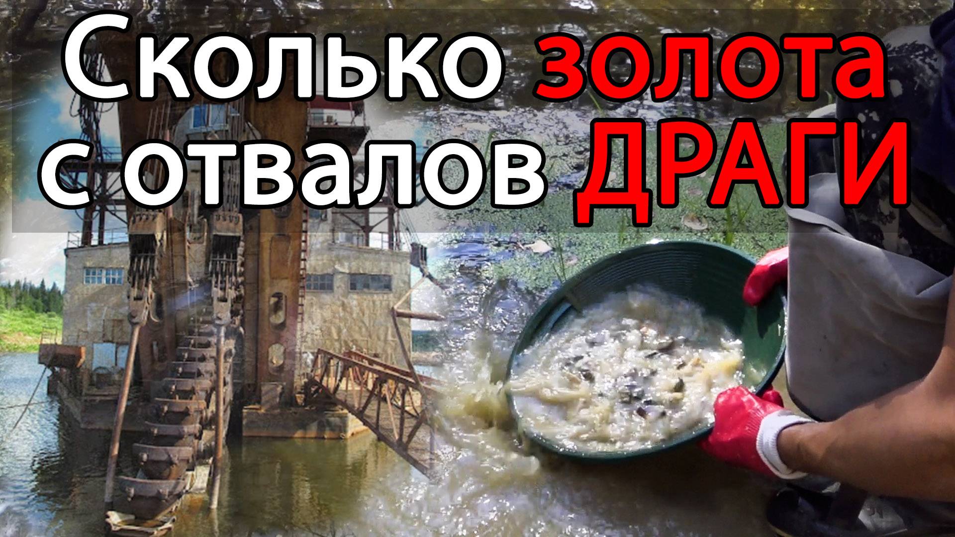 сколько золота с отвалов драги