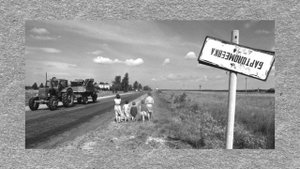 Мякола Мятліцкі. Чарнобль — наша памяць і боль...