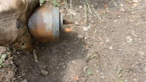 Покупка запчастей мотоцикла м 72 раннего к 750 (BMW)