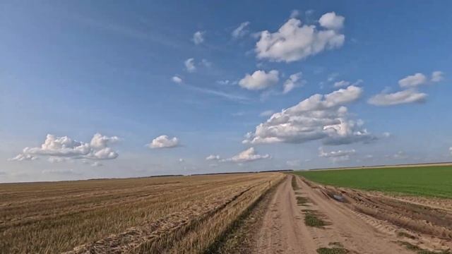 Хаммер микилон 200 и шармакс Хаммер 300