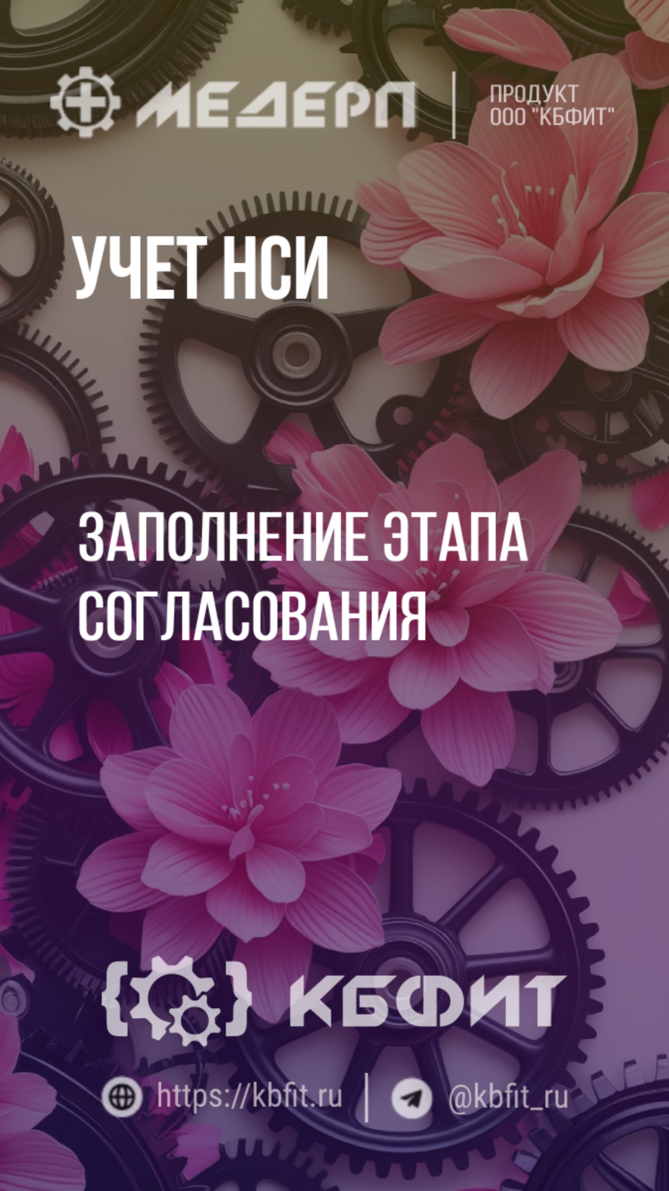 КБФИТ: МЕДЕРП. Учет НСИ: Заполнение этапа согласования