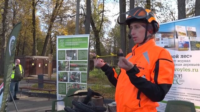 Фестиваль «Попилка» в третий раз прошёл парке «Скитск