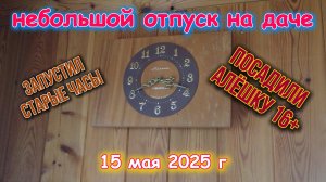 Отпуск на даче - садим Алёшку 15 мая 2025 г