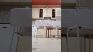 это лето 😎