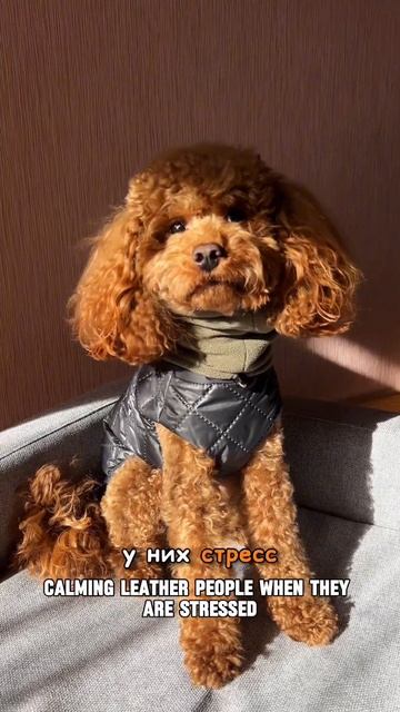 У меня есть две работы смотреть онлайн