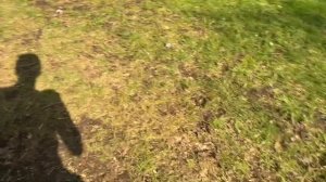 Установка Сабвуфера DL Audio Black BASS 69 на заднюю полку Chevrolet