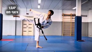 БАЗОВЫЕ УДАРЫ ТАЭКВОНДО / BASIC TAEKWONDO STRIKES /