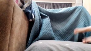 делаем домик из одеяла и подушек